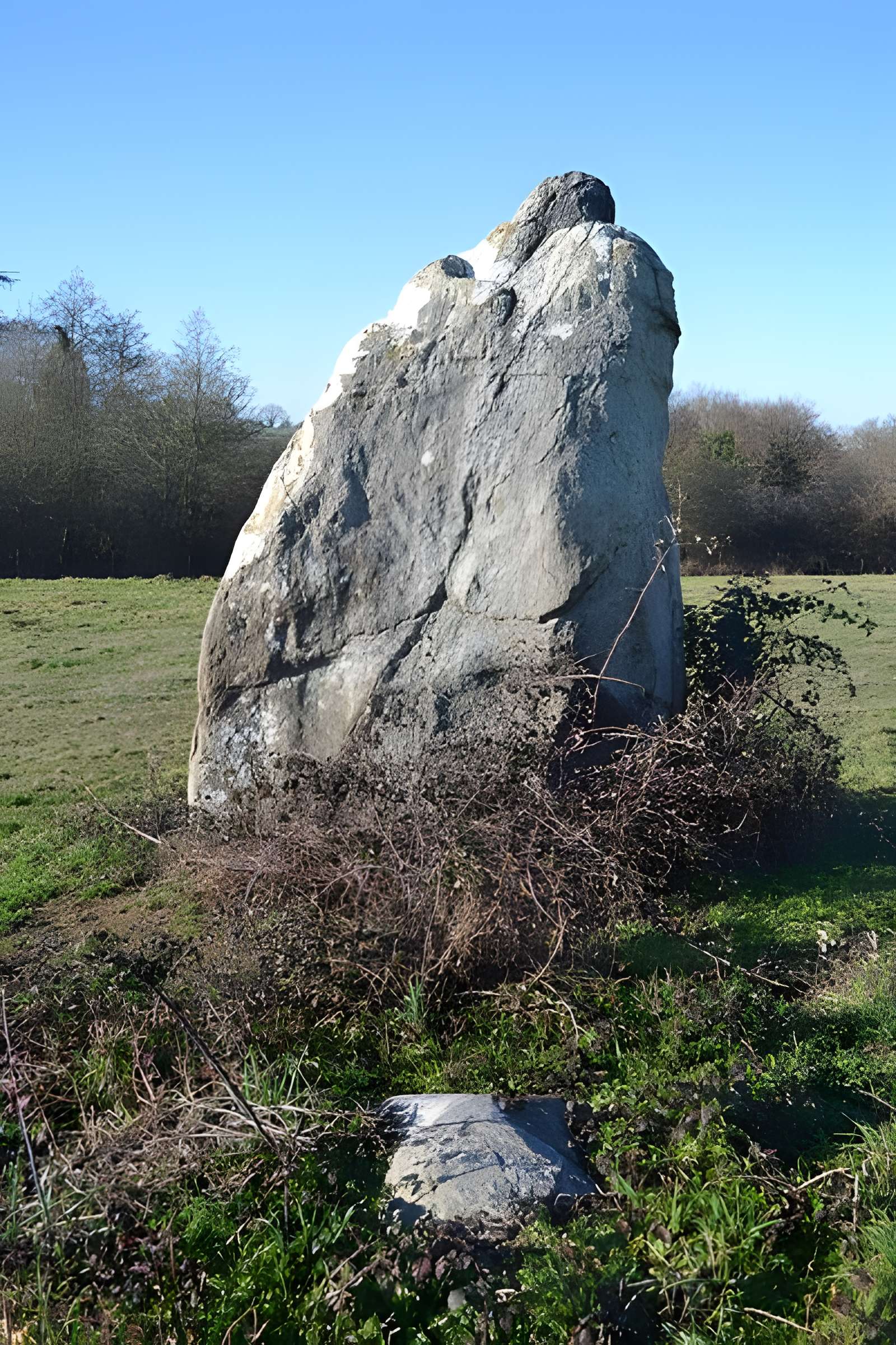 Menhir dit La Pierre au sel de Maulévrier