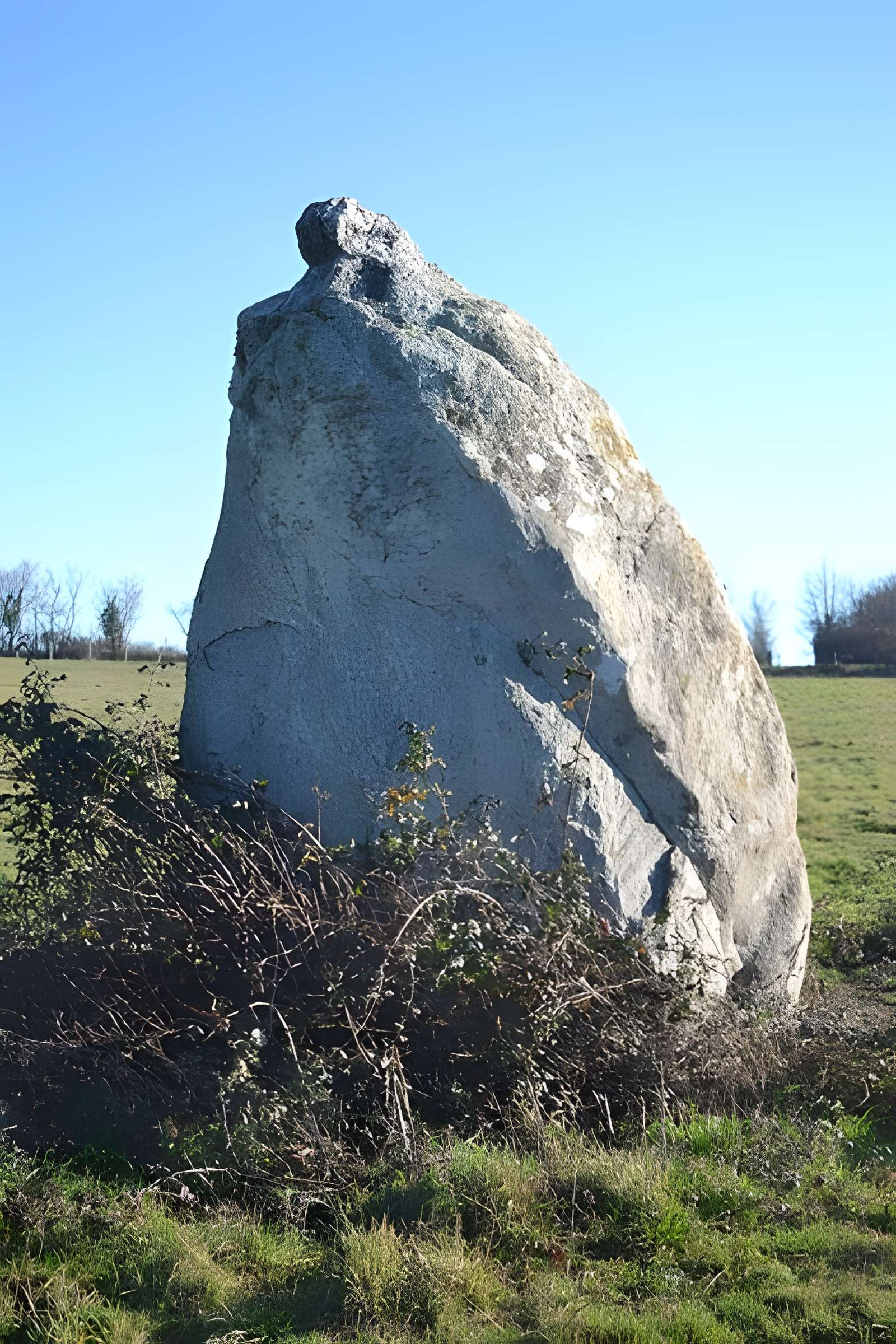 Menhir dit La Pierre au sel de Maulévrier 
