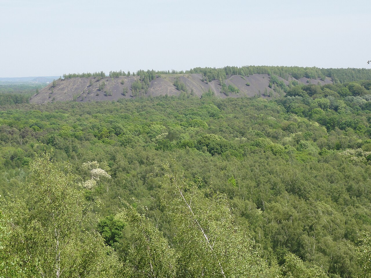 Menhir dit La Pierre de Dessus-Bise à Sars-Poteries