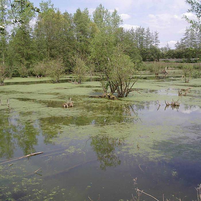 Photo de Menhir dit La Pierre de Dessus-Bise à Sars-Poteries