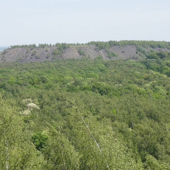 Photo de Menhir dit La Pierre de Dessus-Bise à Sars-Poteries