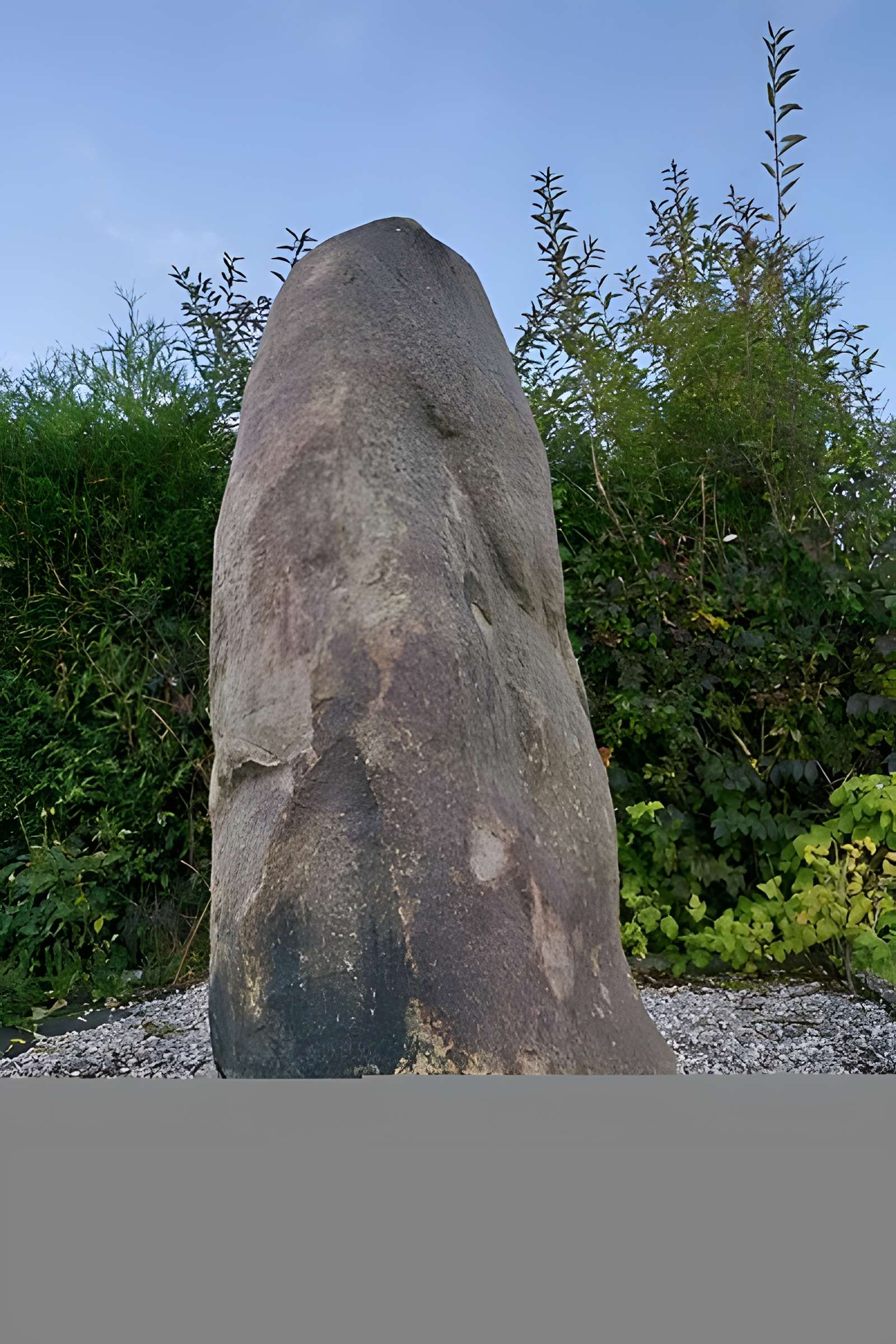 Menhir dit La Pierre de Dessus-Bise à Sars-Poteries