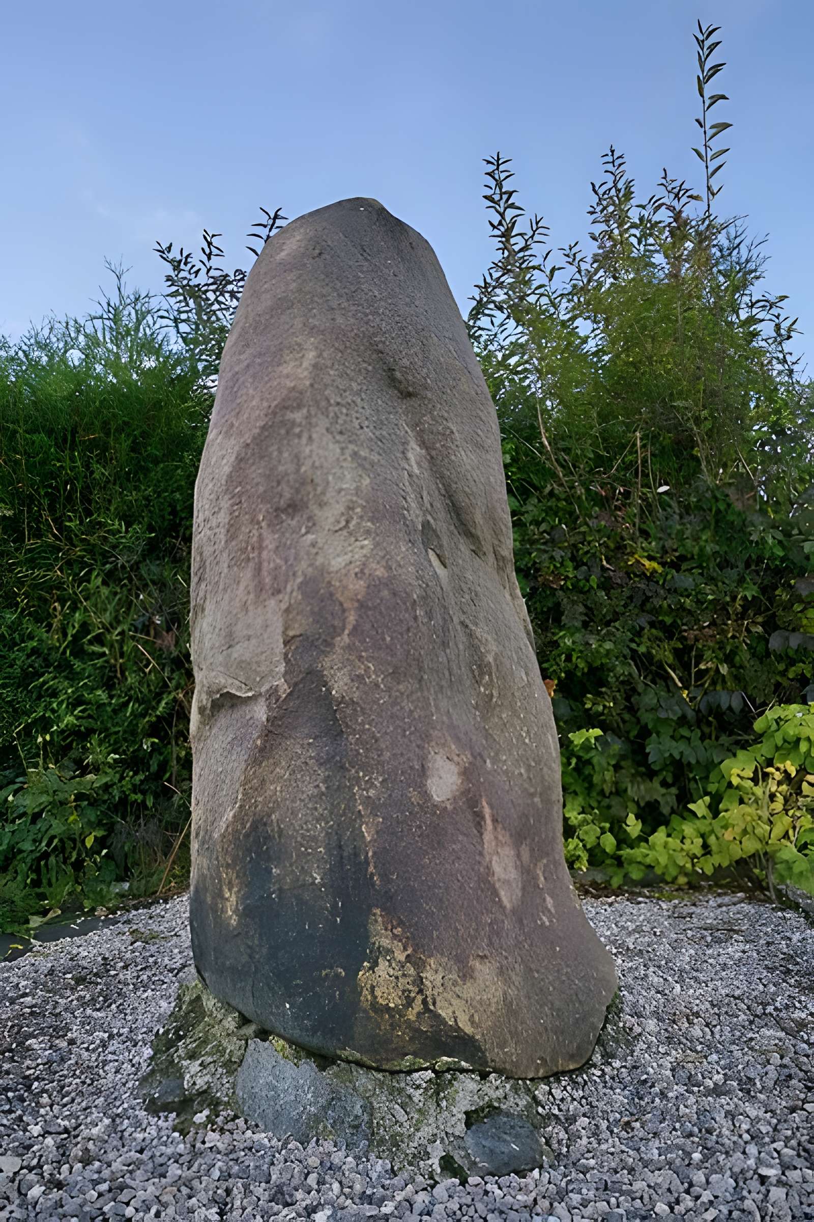 Menhir dit La Pierre de Dessus-Bise à Sars-Poteries
