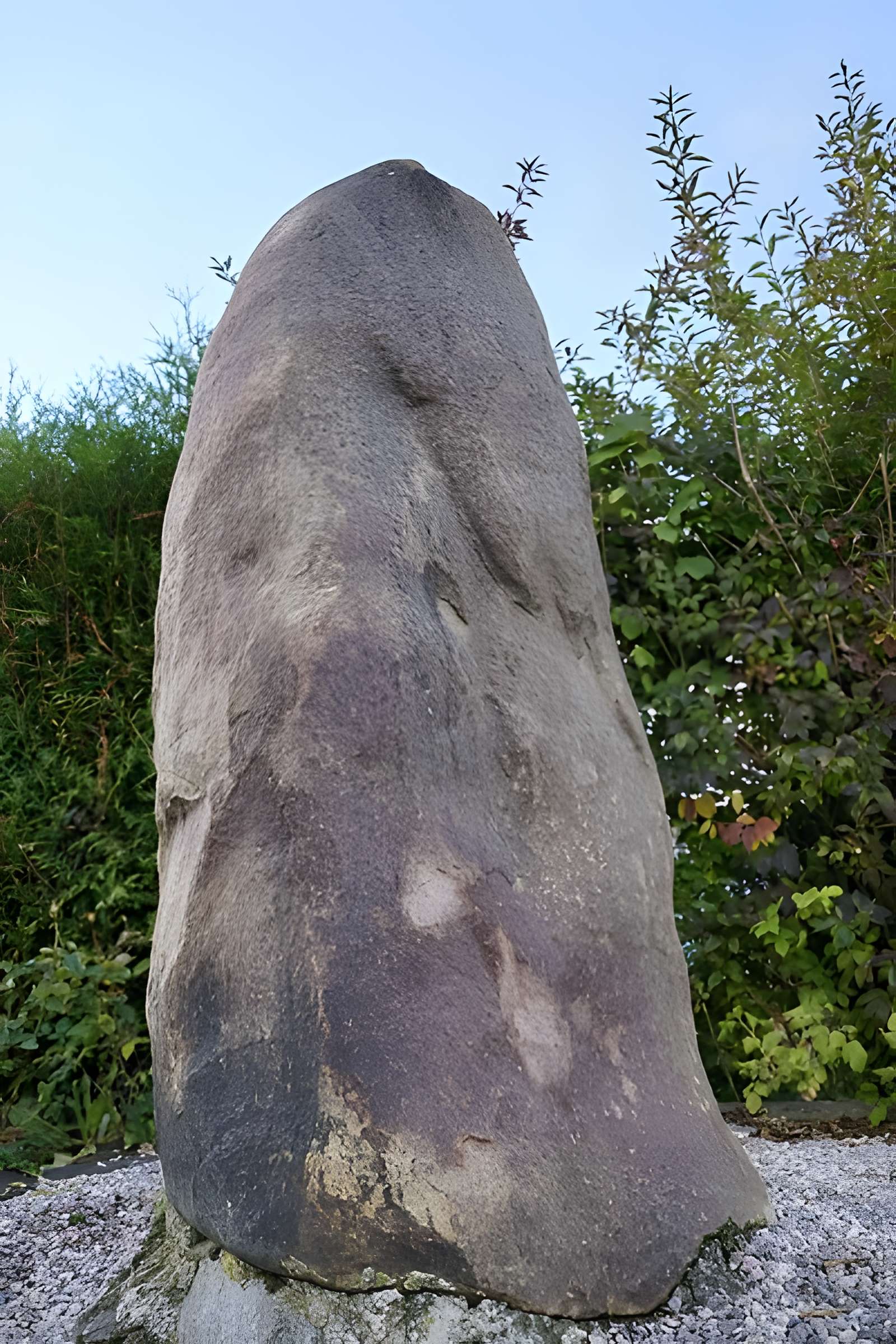 Menhir dit La Pierre de Dessus-Bise à Sars-Poteries
