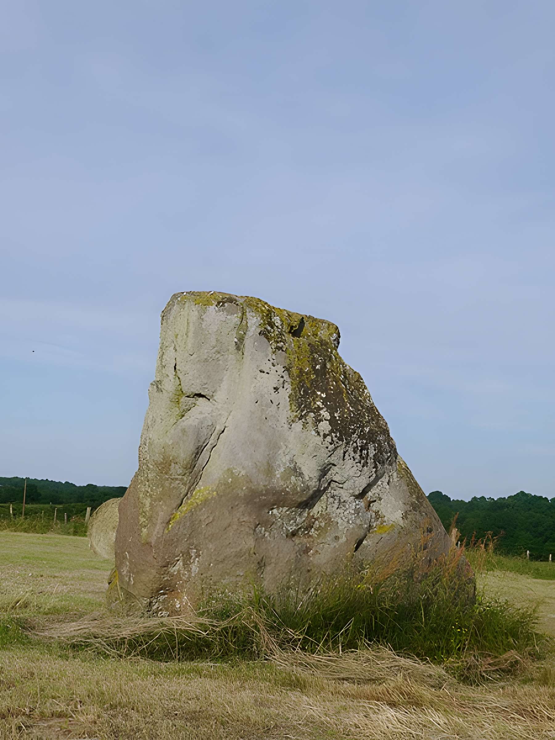 Menhir dit La Pierre debout d'Aviré