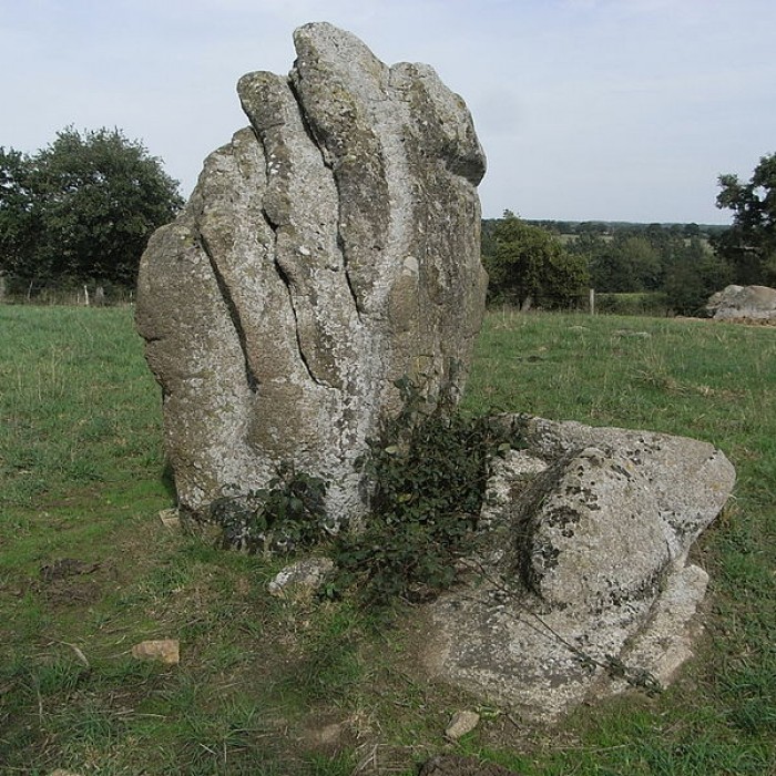 Photo de Menhir dit la pierre levée de Charbonneau à La Renaudière
