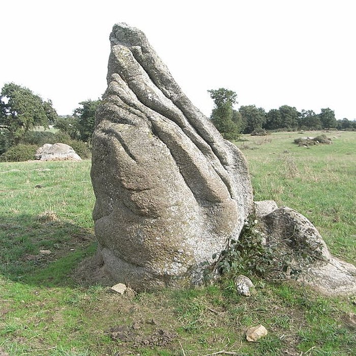 Photo de Menhir dit la pierre levée de Charbonneau à La Renaudière