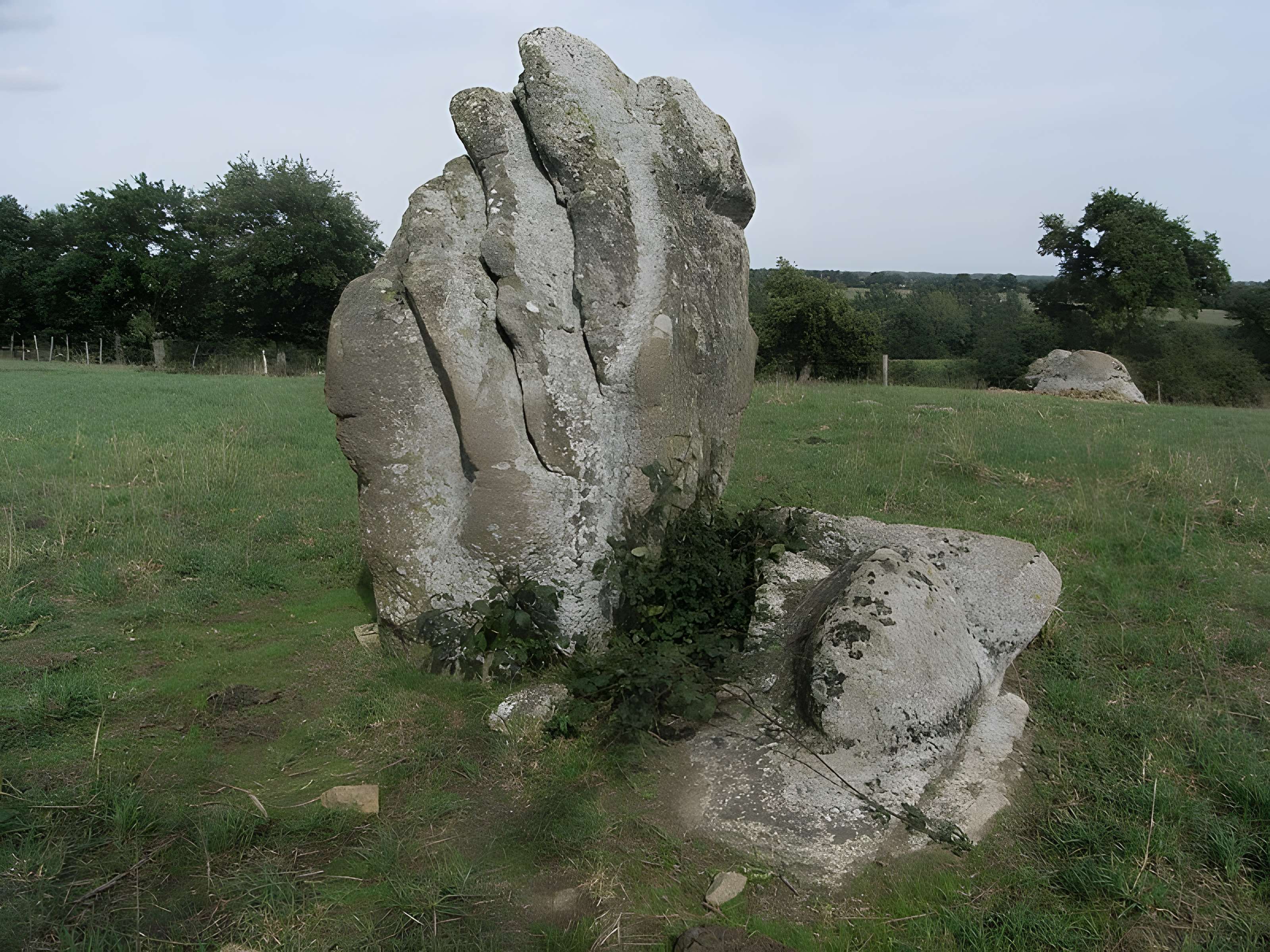 Menhir dit la pierre levée de Charbonneau à La Renaudière 