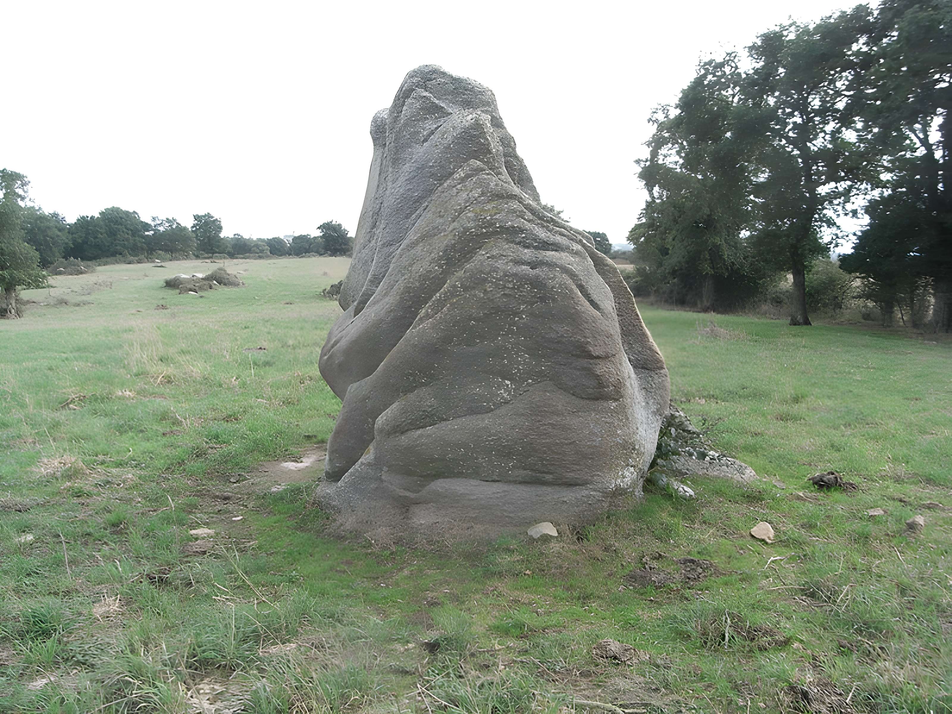 Menhir dit la pierre levée de Charbonneau à La Renaudière