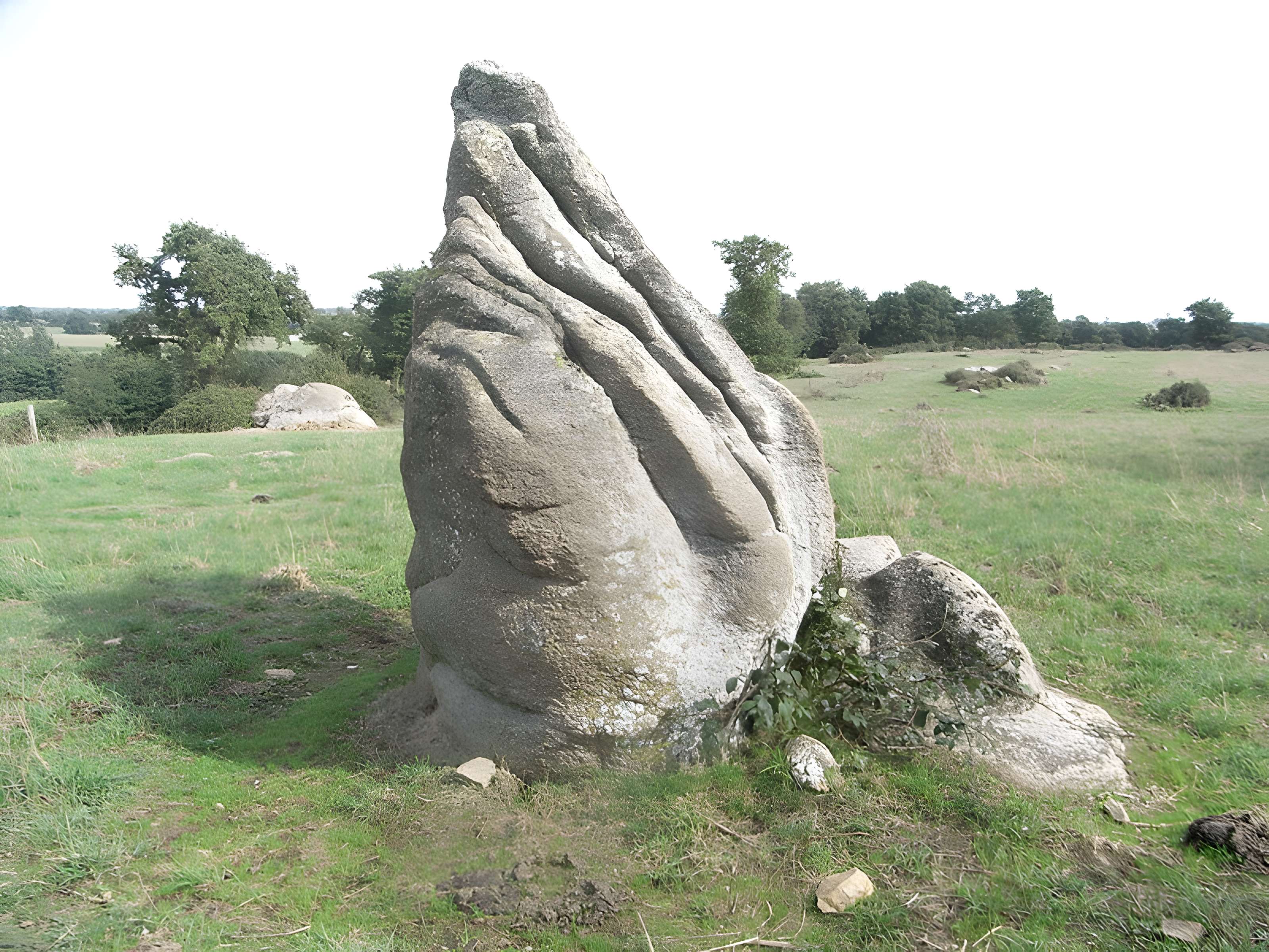 Menhir dit la pierre levée de Charbonneau à La Renaudière