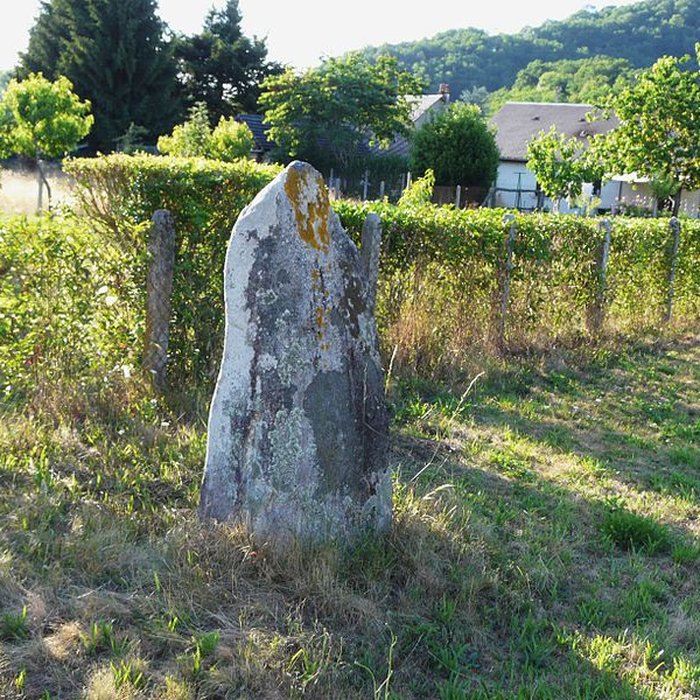 Photo de Menhir dit Le Grave de Roland dArgentat