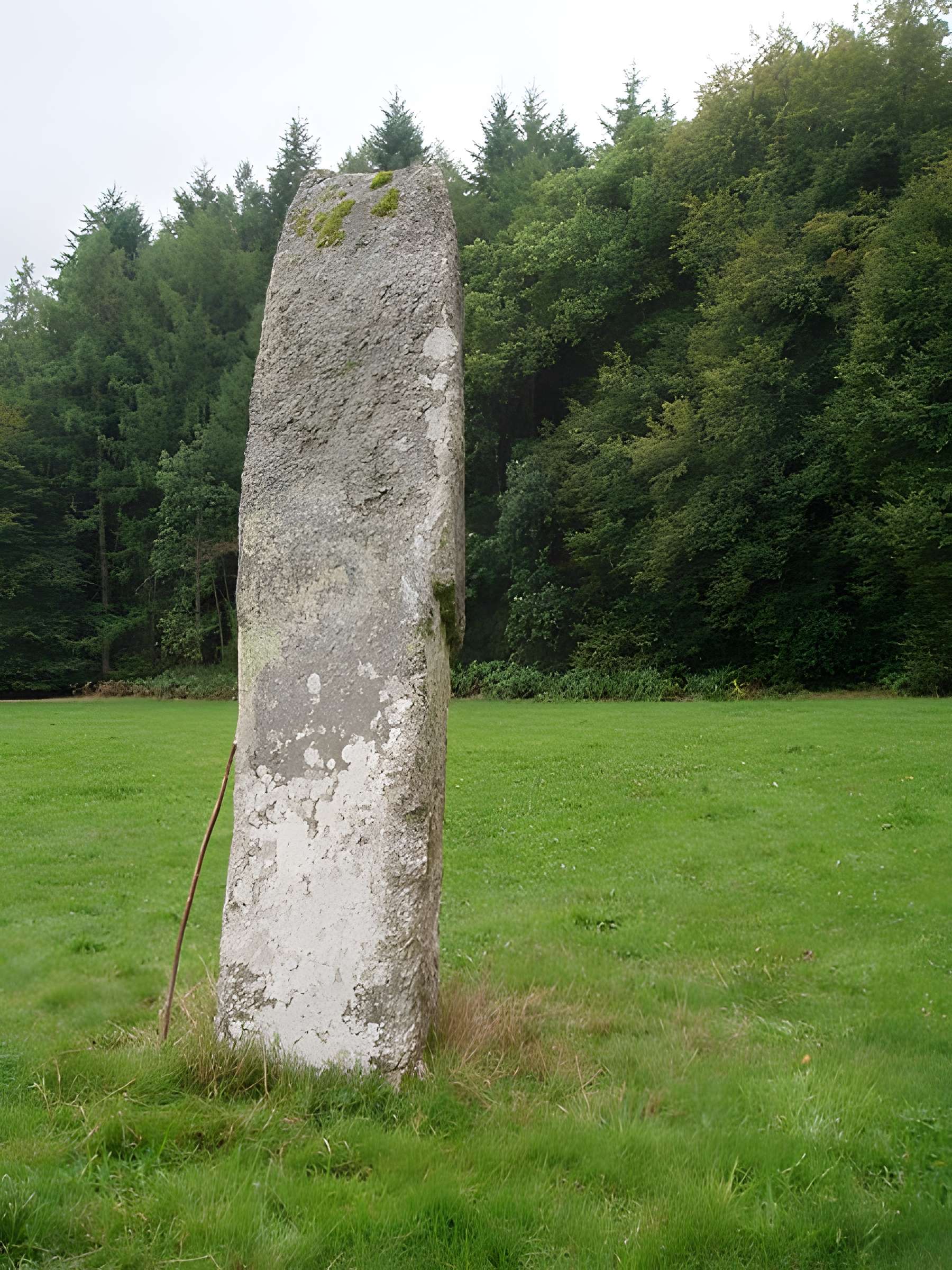 Menhir dit Pierre Fitte de Saint-Quentin-la-Chabanne 