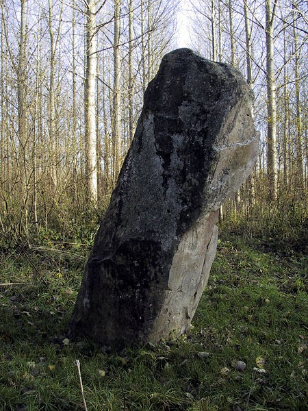 Photo de Menhir d'Oisy-le-Verger