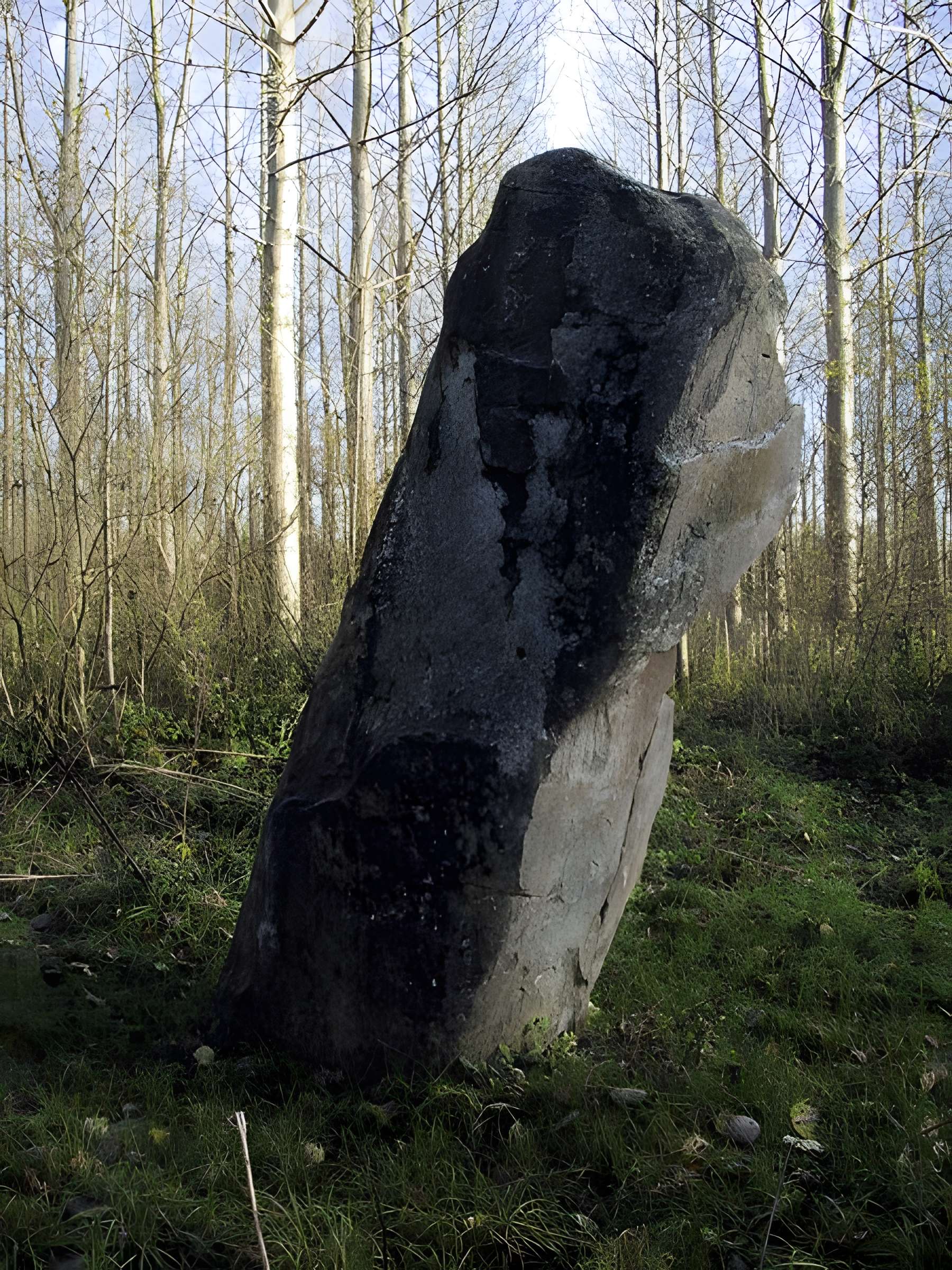 Menhir d'Oisy-le-Verger 