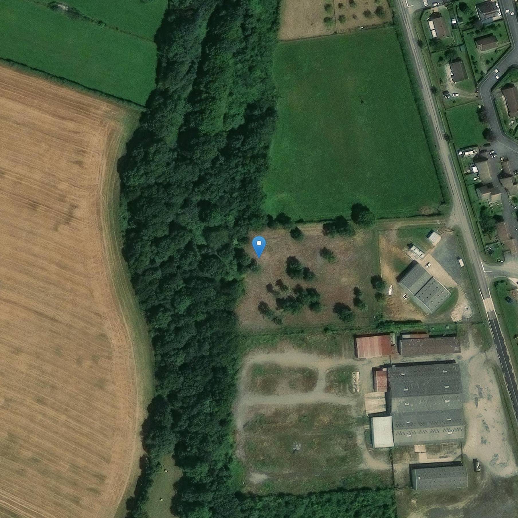 Photo de Menhir du Boulay-Filleul de Glos-la-Ferrière