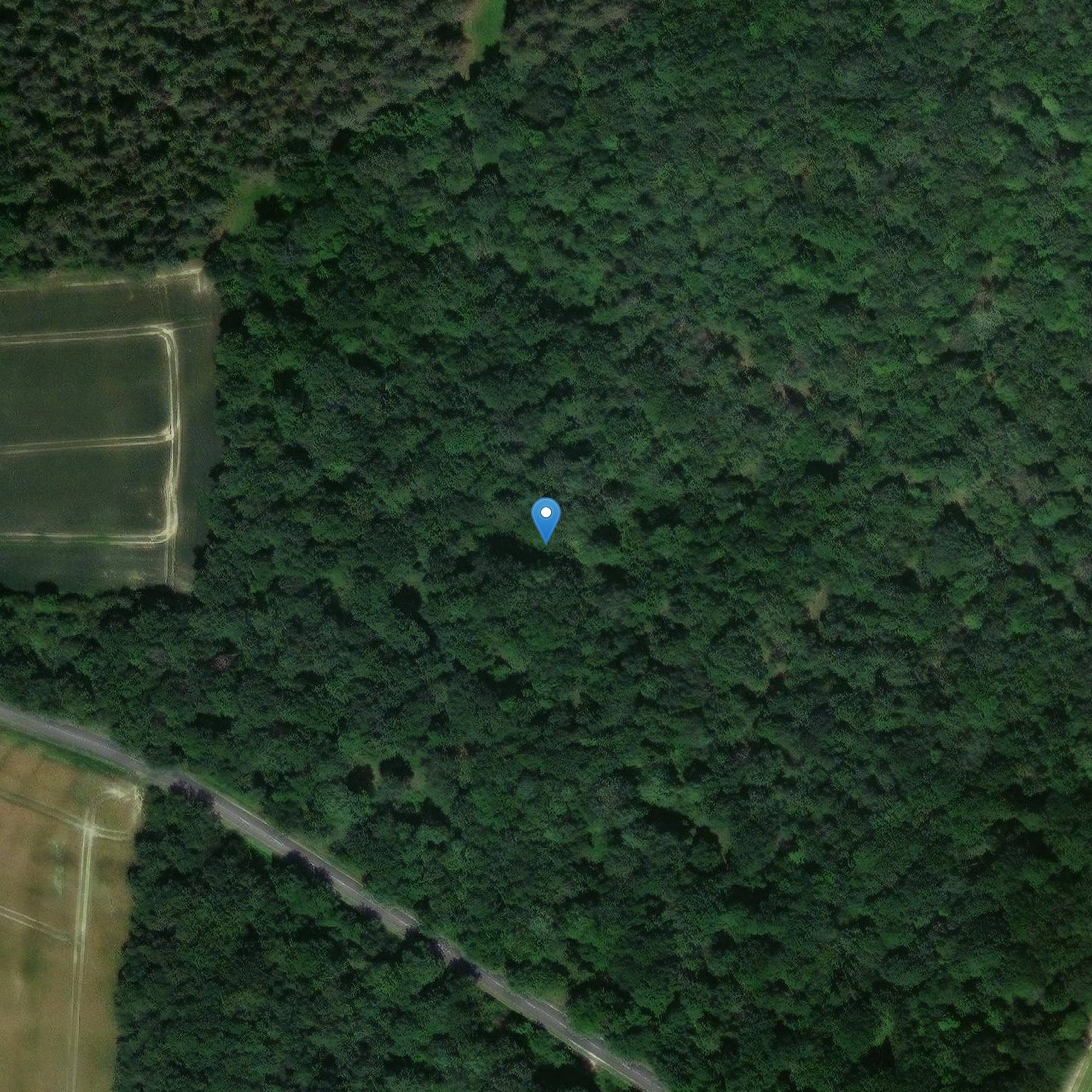 Photo de Menhir der Bourg de Plouhinec