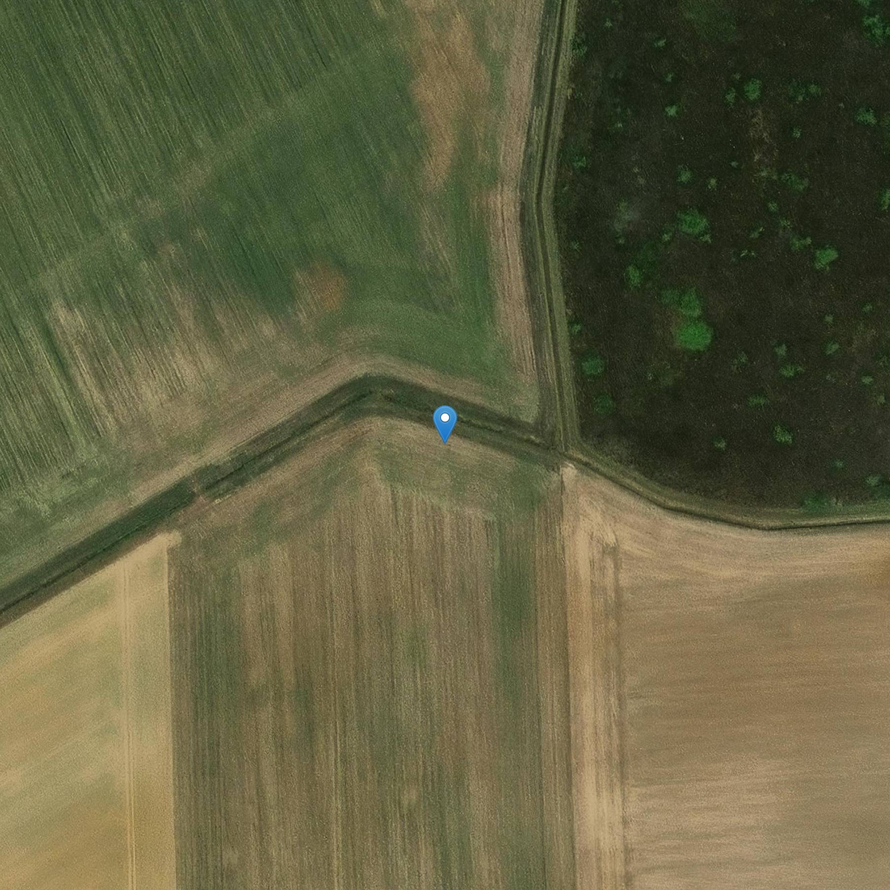 Photo de 皮埃尔菲特城堡的门希尔