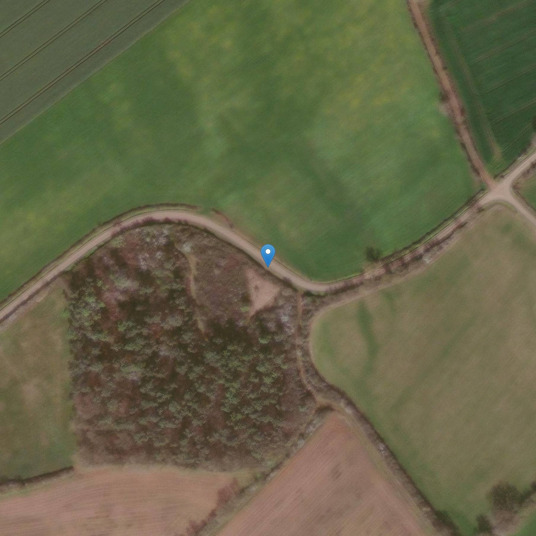 Photo de Menhir aus dem Château des Roches-Baritaud in Saint-Germain-de-Prinçay