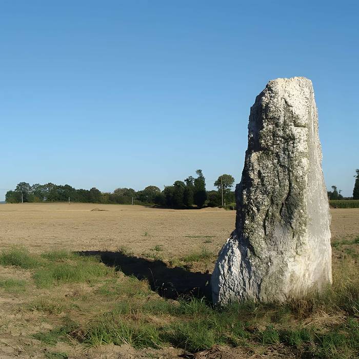 Photo de Menhir du Chénot de Médréac