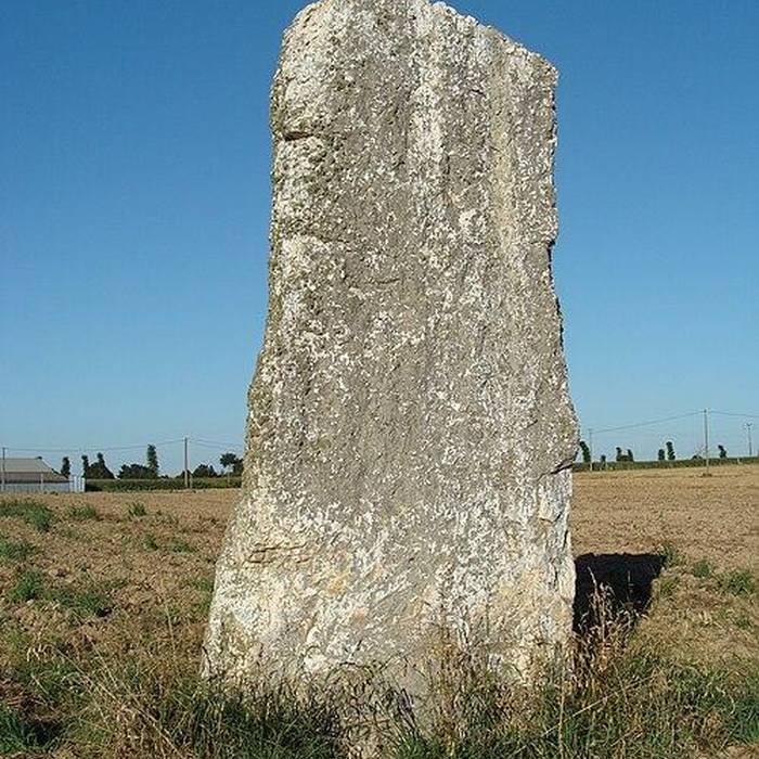 Photo de Menhir du Chénot de Médréac