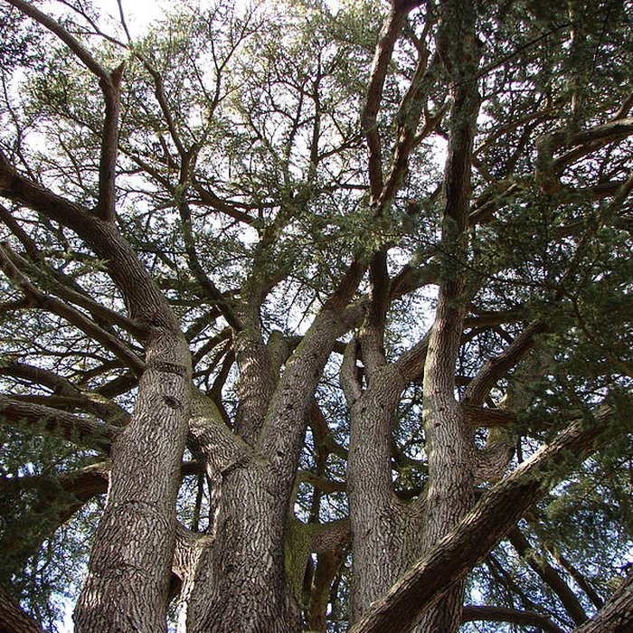 Photo de Château de Coubertin