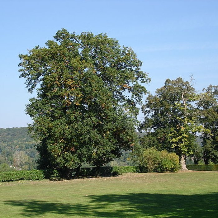 Photo de Château de Coubertin