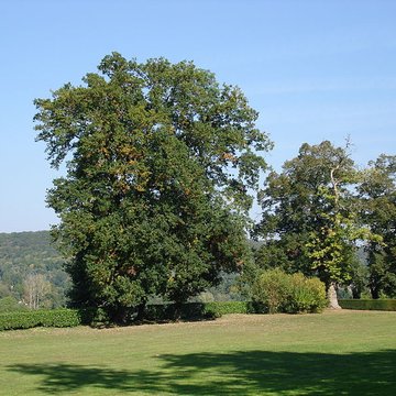 Château de Coubertin