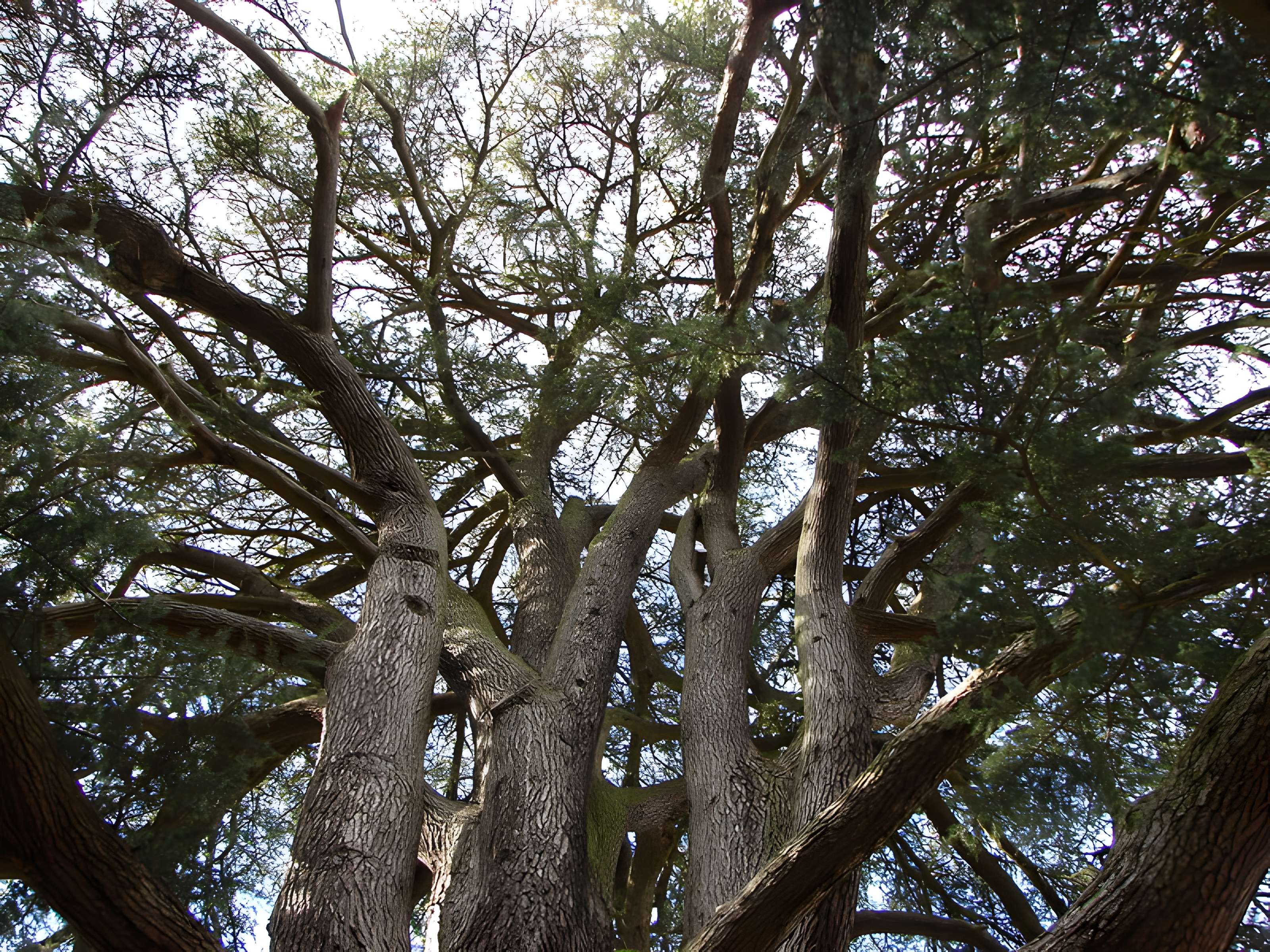 Château de Coubertin