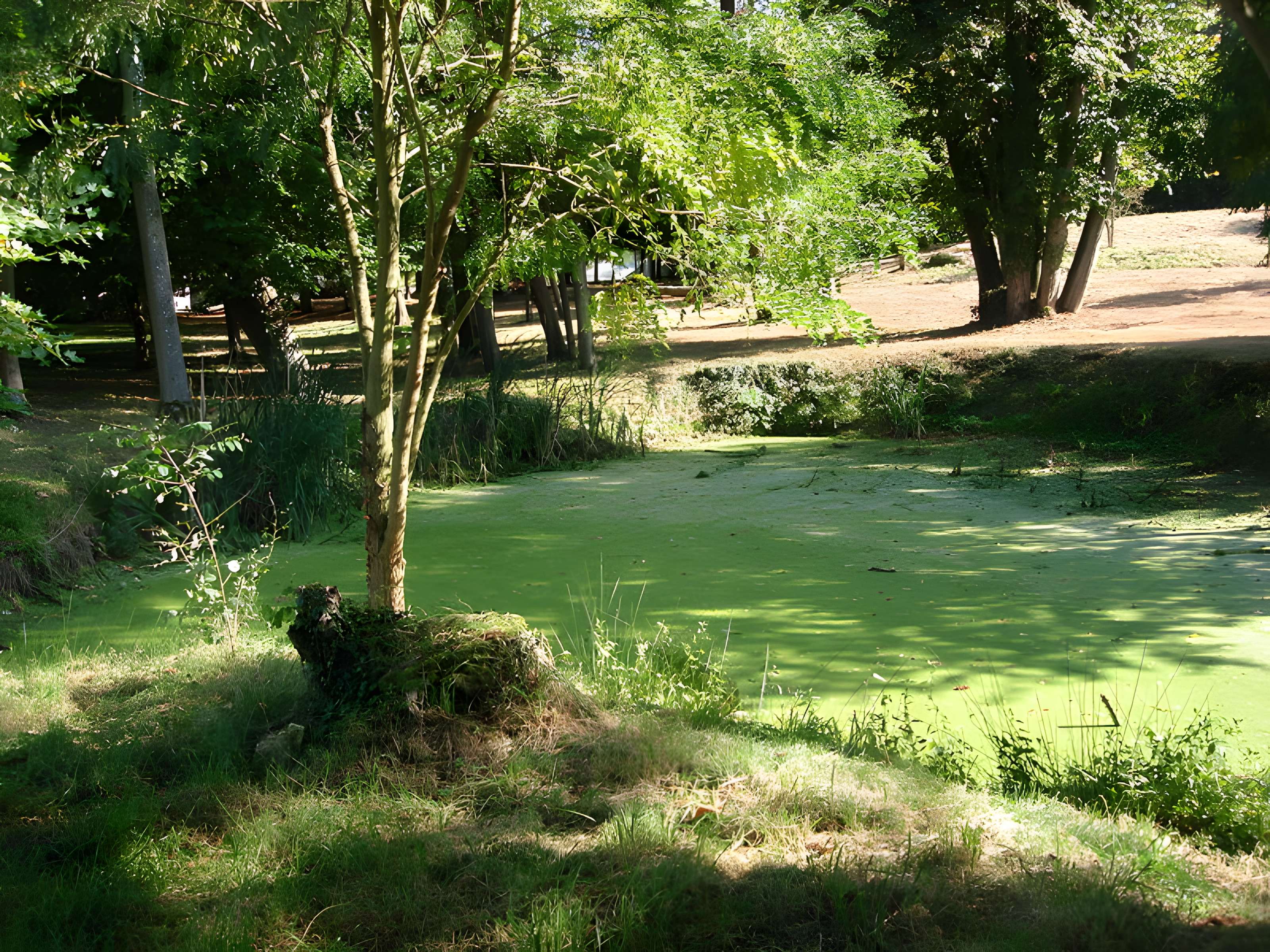 Château de Coubertin