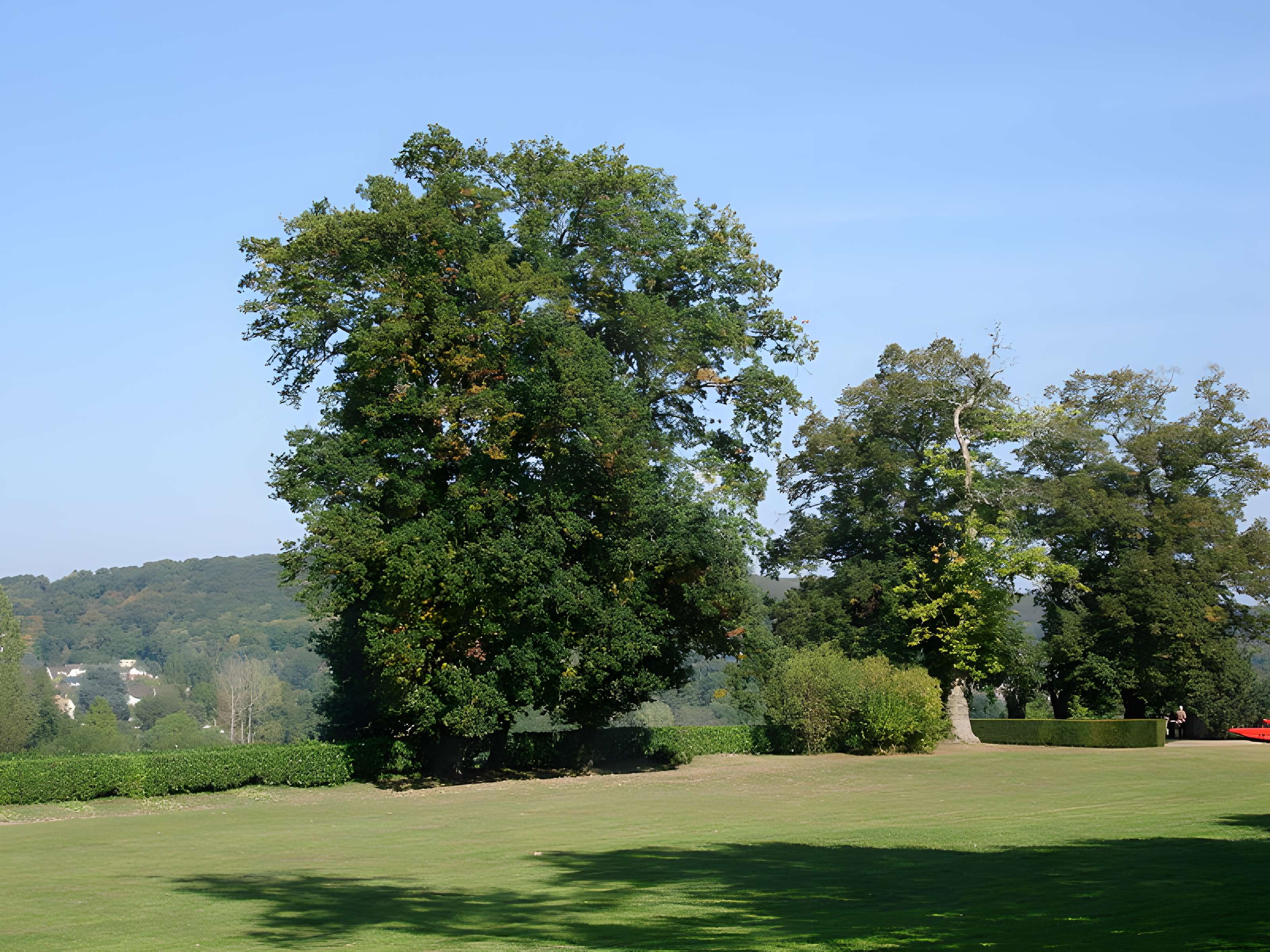 Château de Coubertin