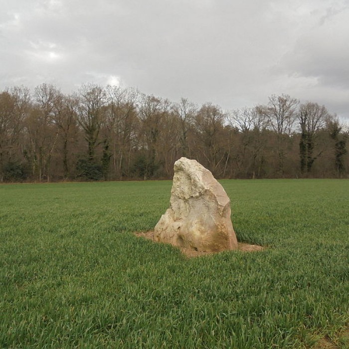 Photo de Menhir du Croc de Serquigny