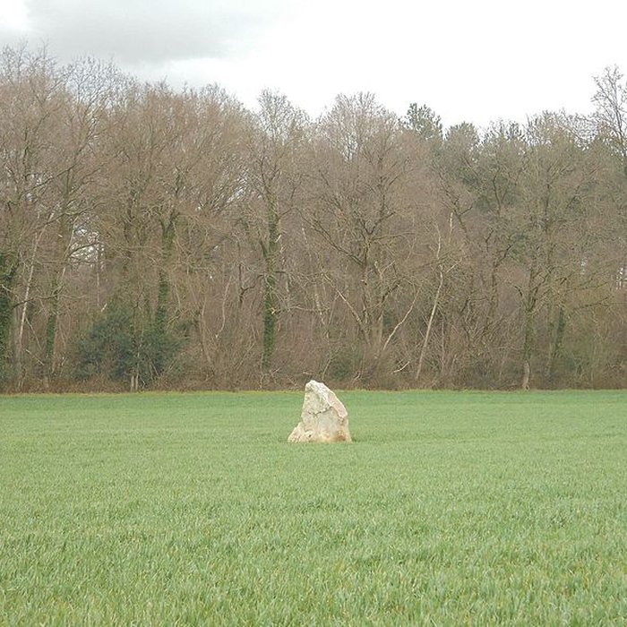 Photo de Menhir du Croc de Serquigny