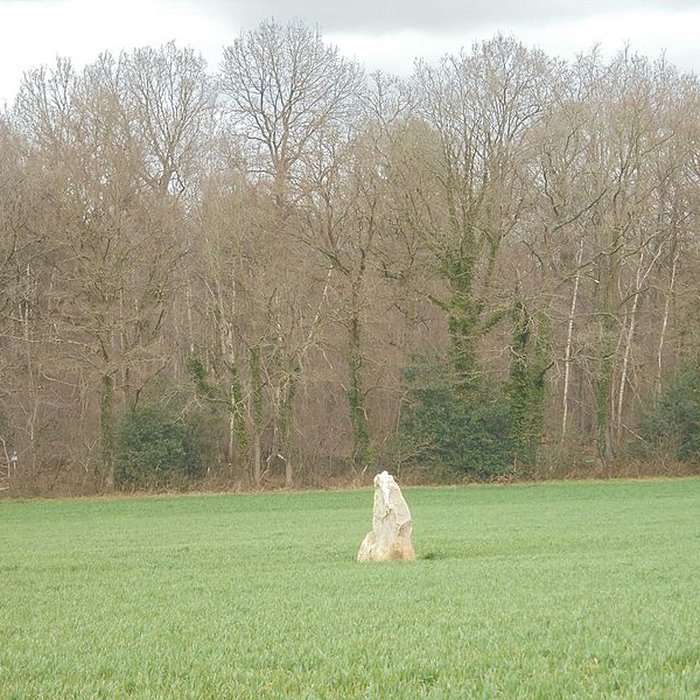 Photo de Menhir du Croc de Serquigny