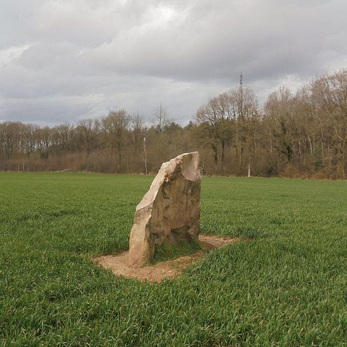 Photo de Menhir du Croc de Serquigny