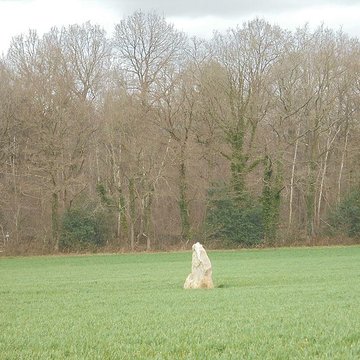 Menhir du Croc de Serquigny