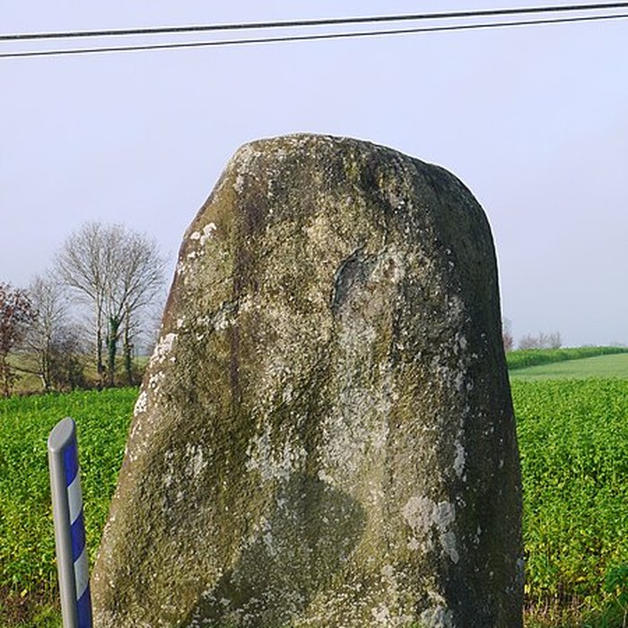 Photo de Menhir du Faix du Diable de La Bigottière