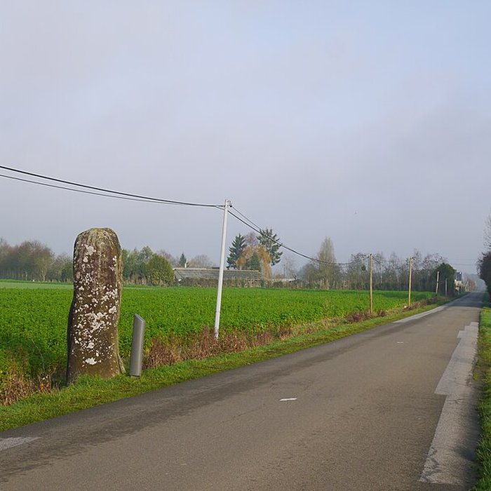 Photo de Menhir du Faix du Diable de La Bigottière