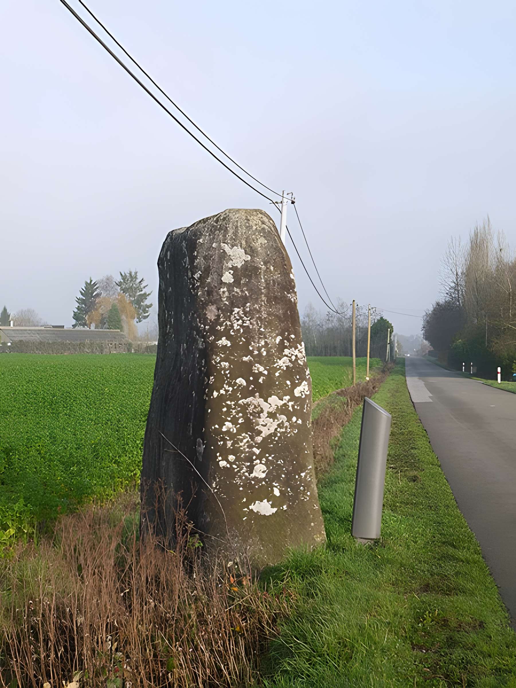 Menhir du Faix du Diable de La Bigottière