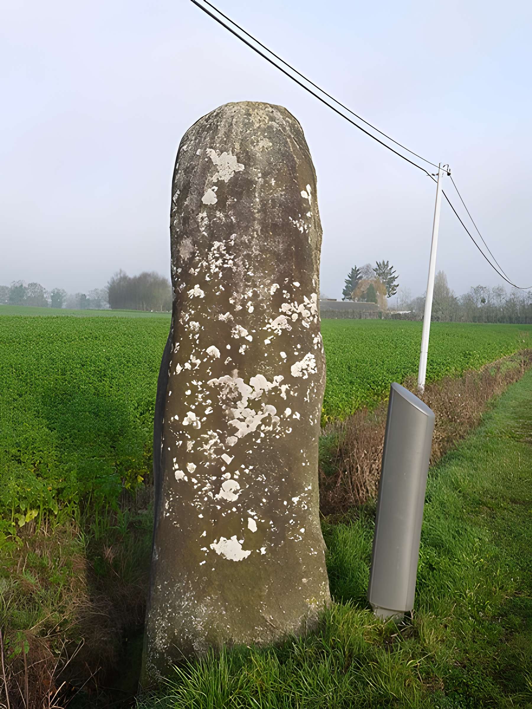 Menhir du Faix du Diable de La Bigottière