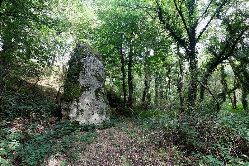 Photo de Menhir du Fuseau de Plaine-Haute