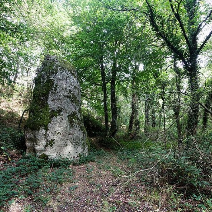 Photo de Menhir du Fuseau de Plaine-Haute