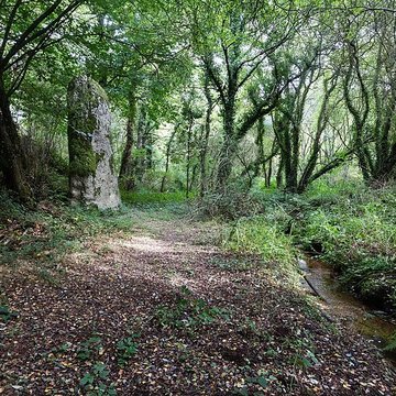 Menhir du Fuseau de Plaine-Haute