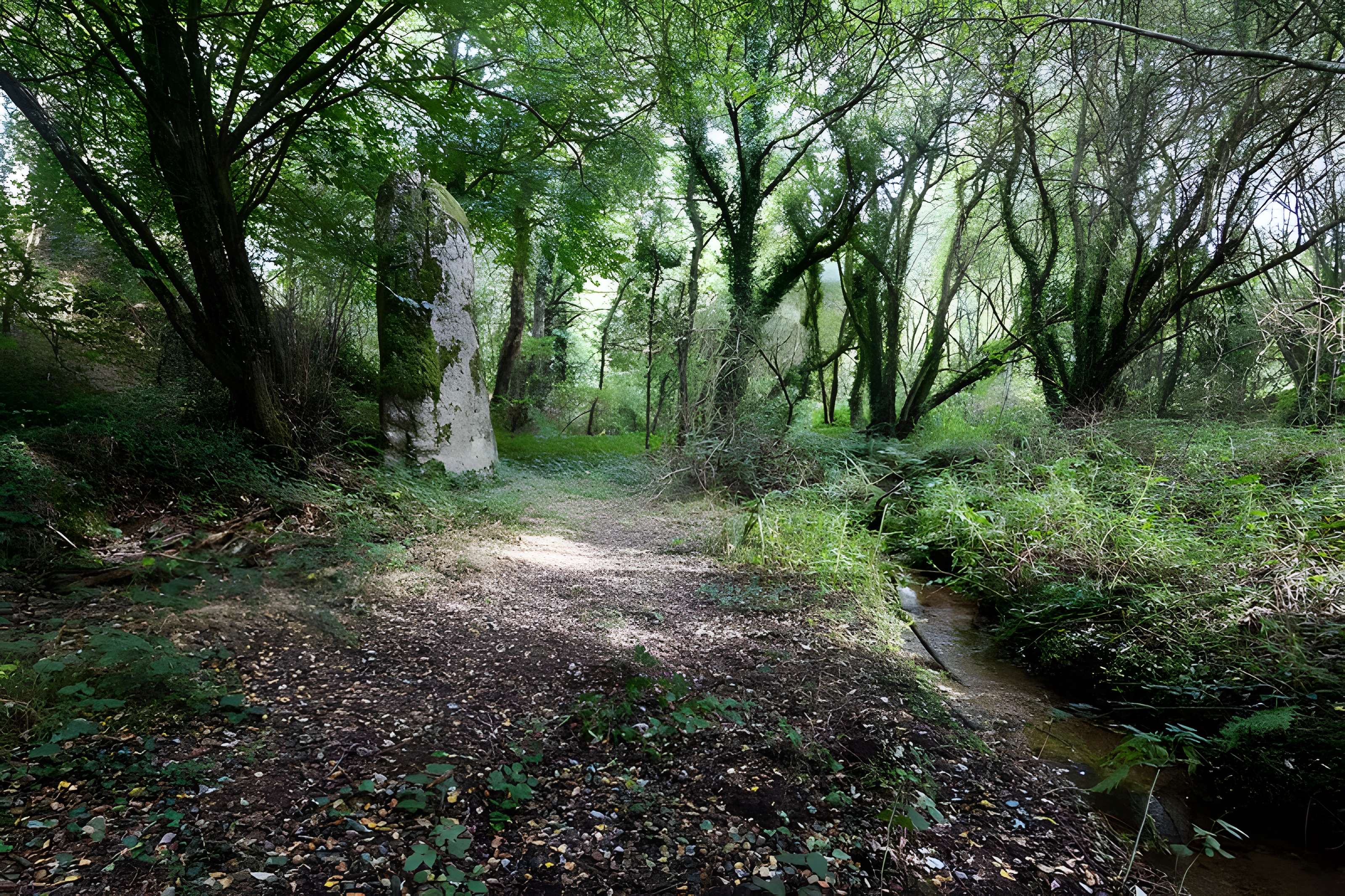 Menhir du Fuseau de Plaine-Haute