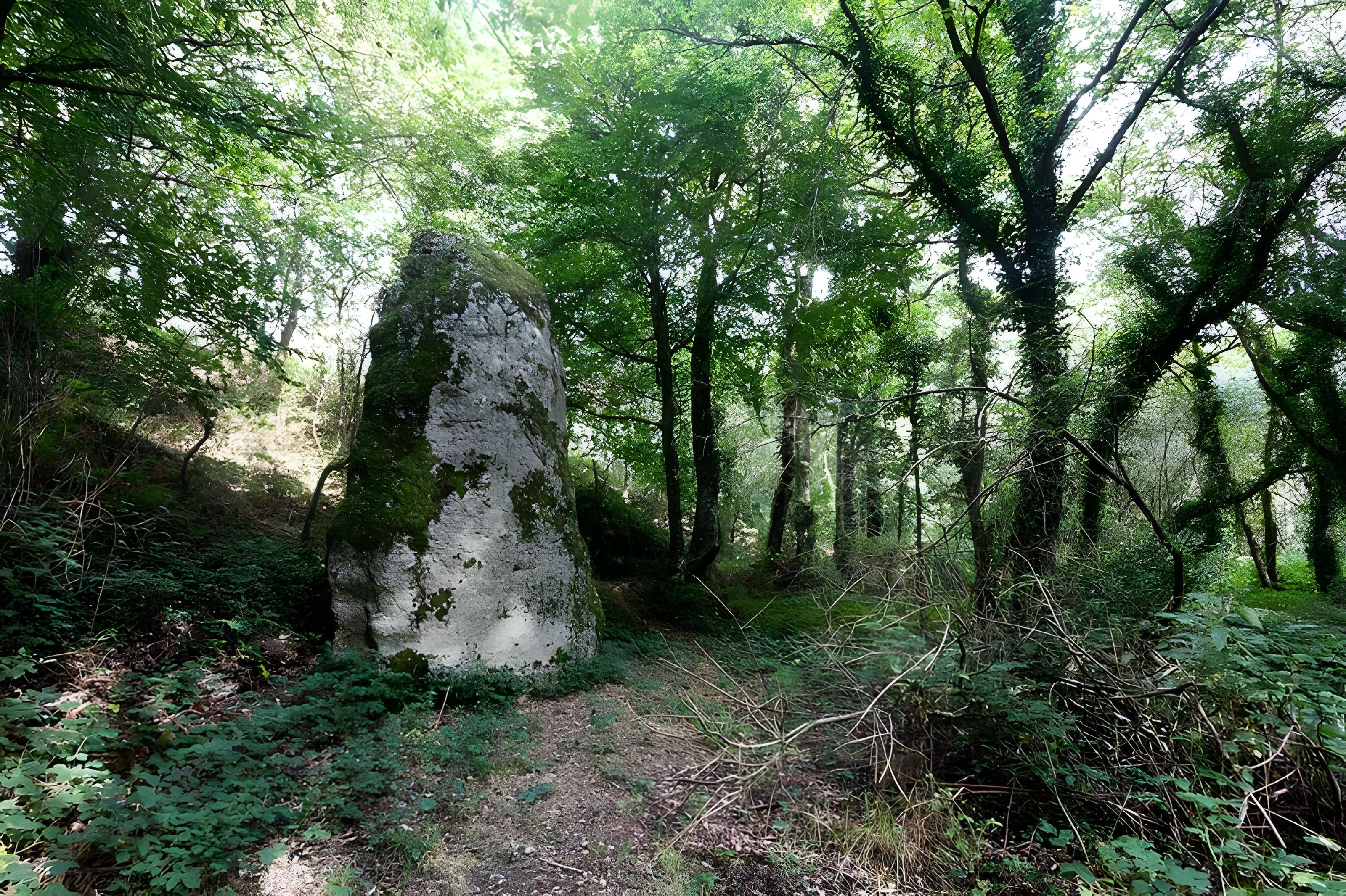 Menhir du Fuseau de Plaine-Haute 