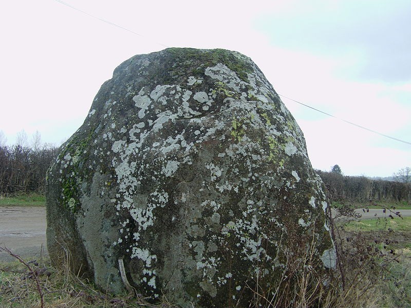 Photo de Menhir du Grand Coudray de Chantrigné
