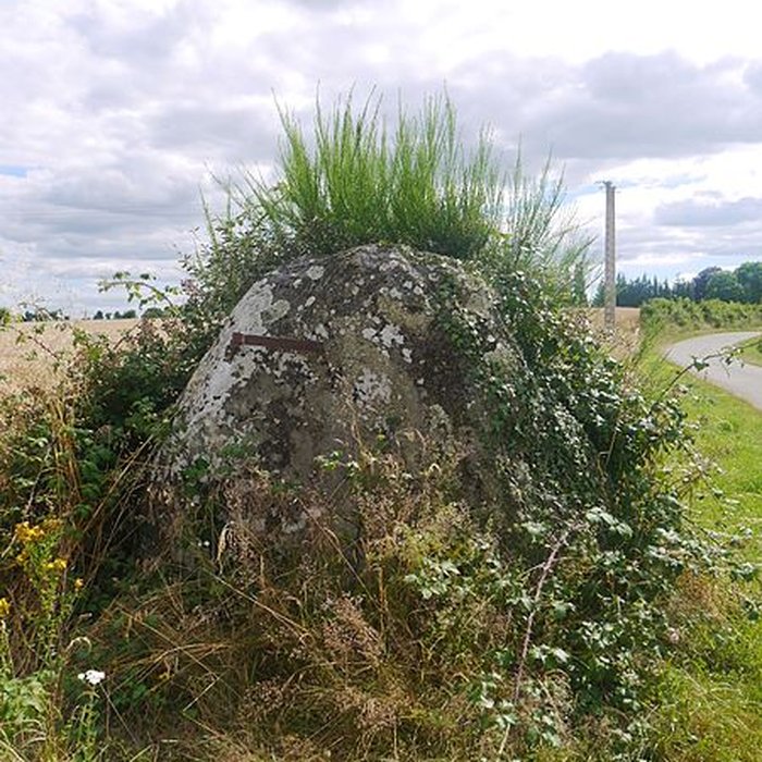 Photo de Menhir du Grand Coudray de Chantrigné