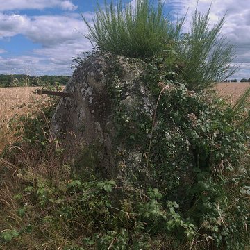 Menhir du Grand Coudray de Chantrigné