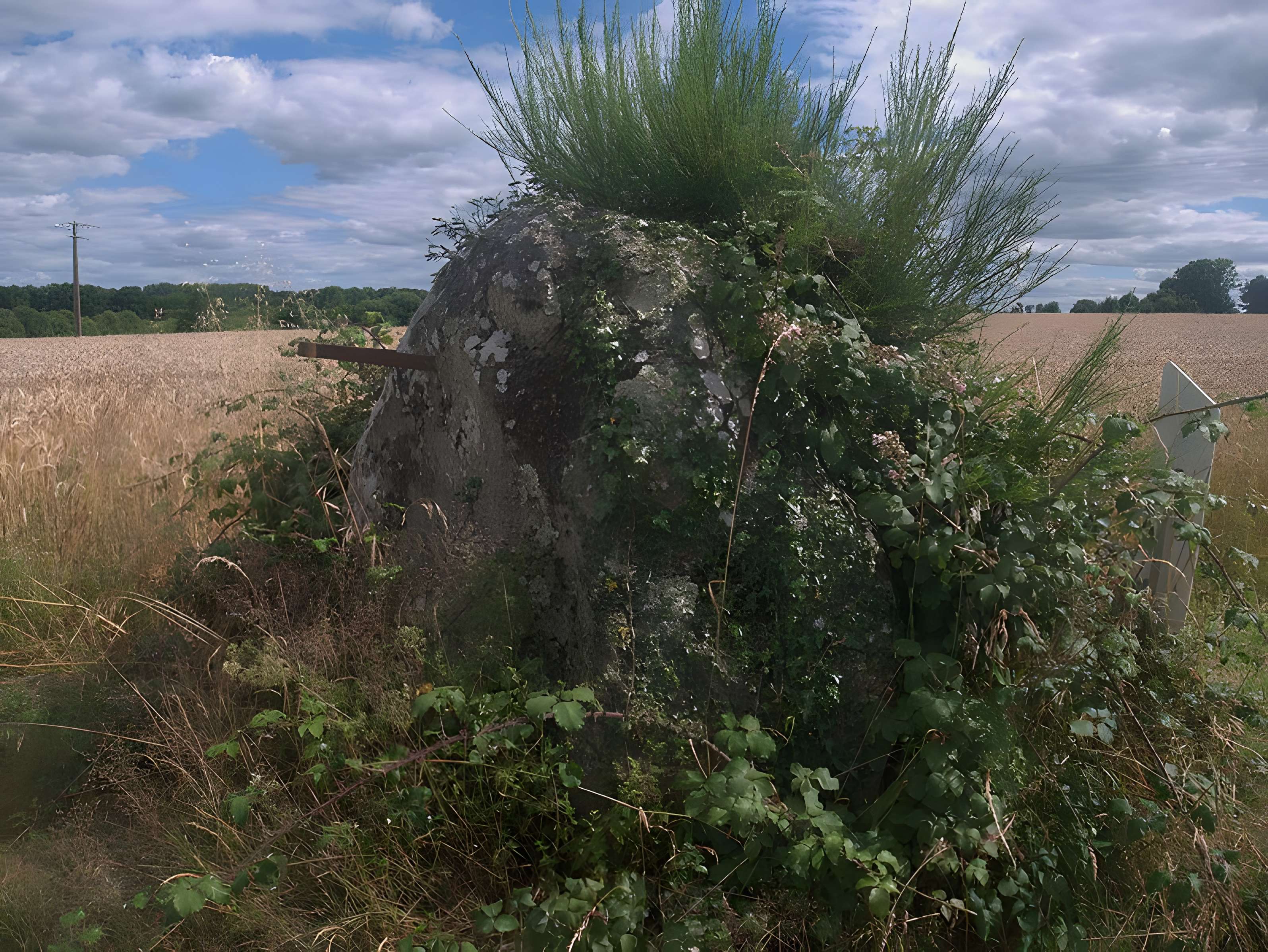 Menhir du Grand Coudray de Chantrigné