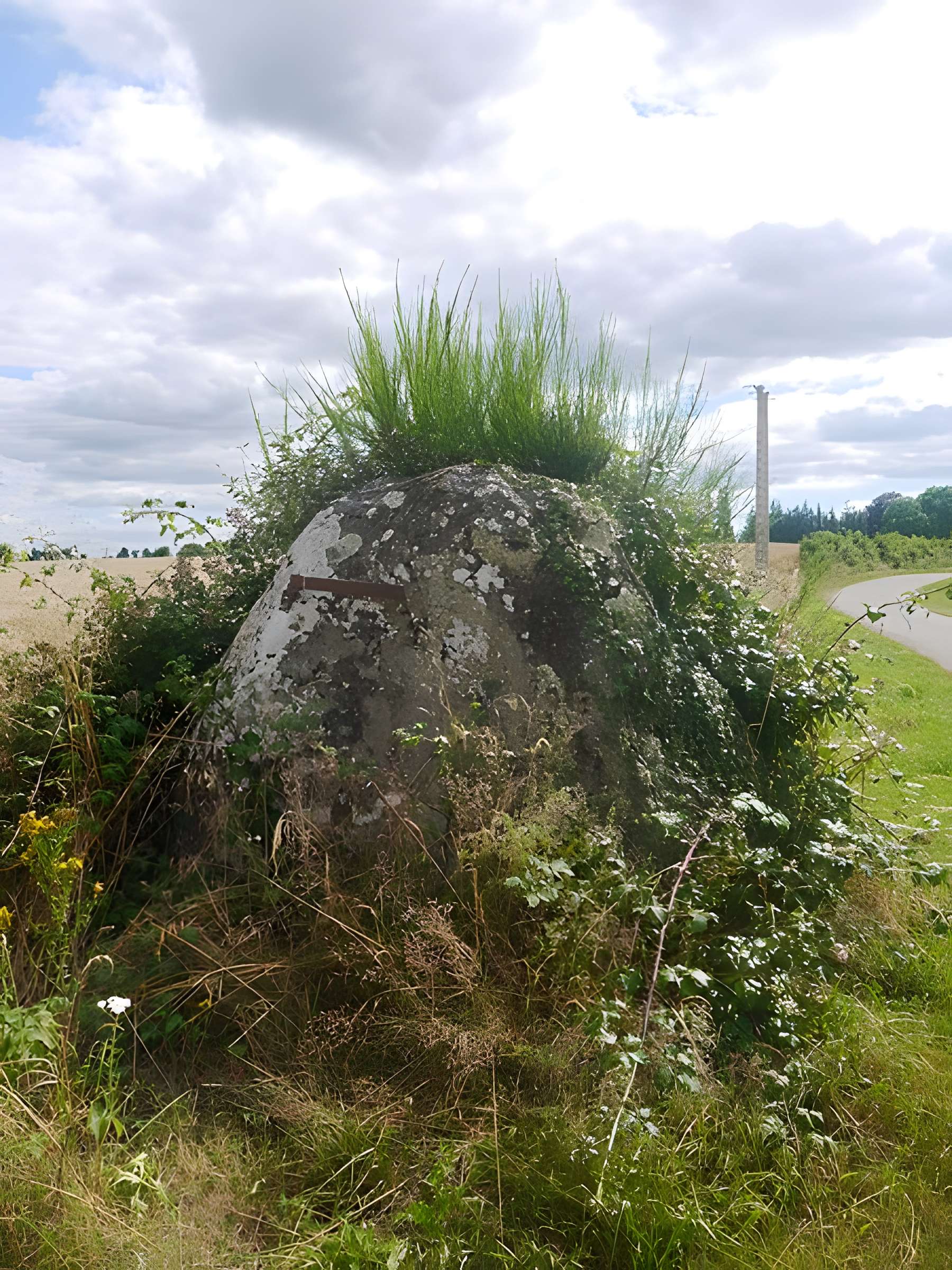 Menhir du Grand Coudray de Chantrigné