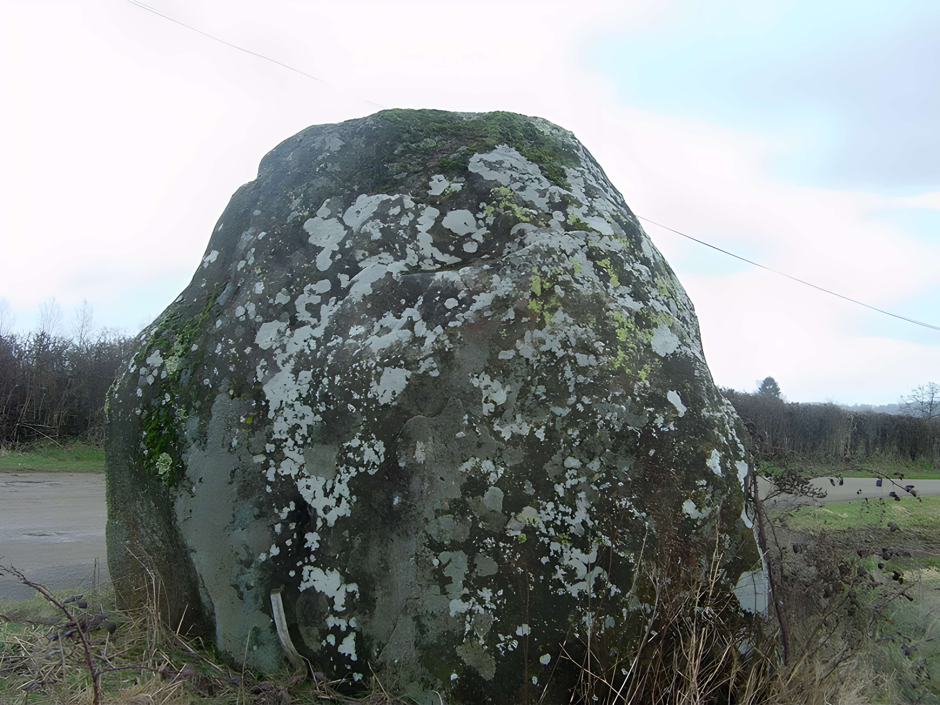 Menhir du Grand Coudray de Chantrigné 